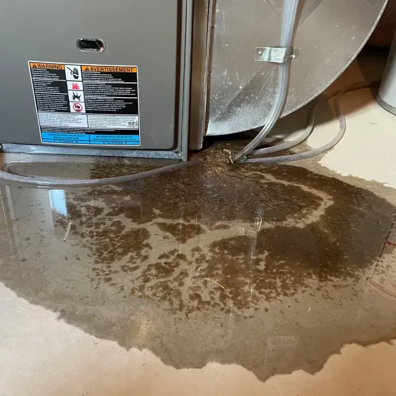 Appliance Leak Cleanup in Happy Valley, OR